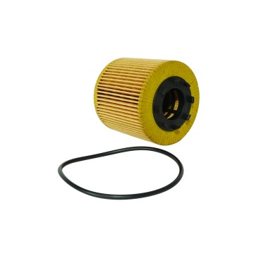 OIL FILTER Master 2.2 dCi, Movano 2.2 DTI 