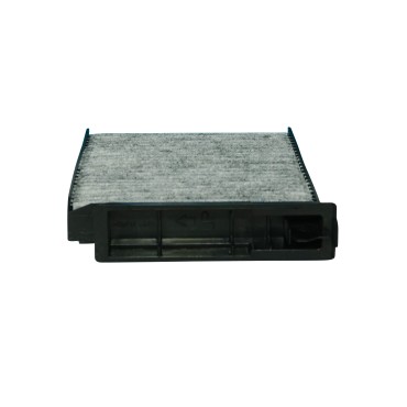 CABIN FILTER Clio III,Duster,Logan (09-)